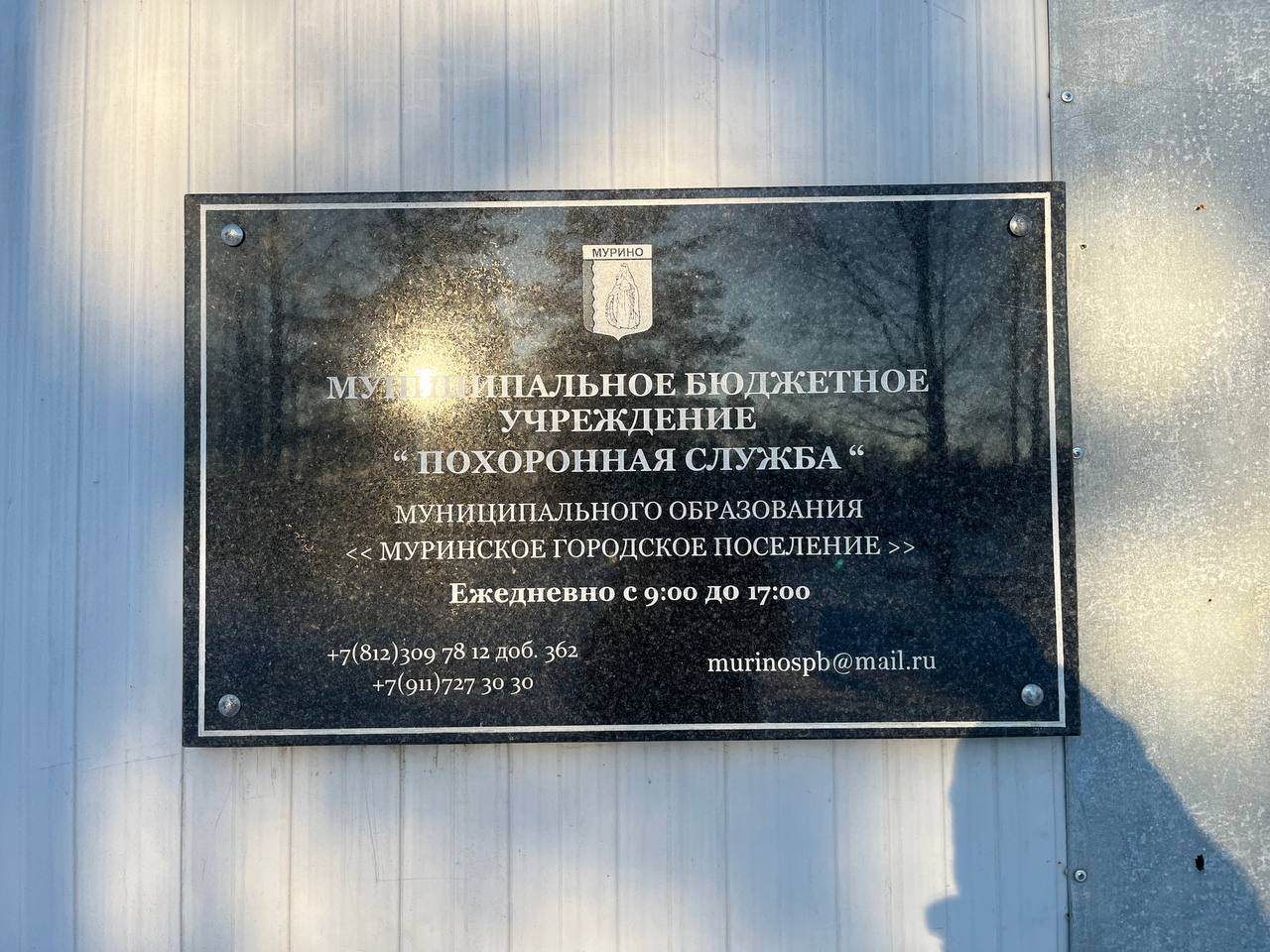 Вид Муринского кладбища 6